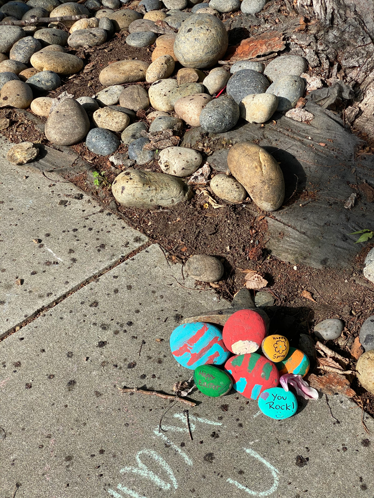 painted rocks, San Jose neighborhood project